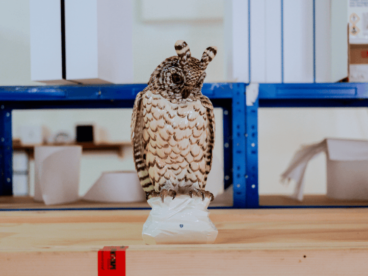 Nymphenburg Owls