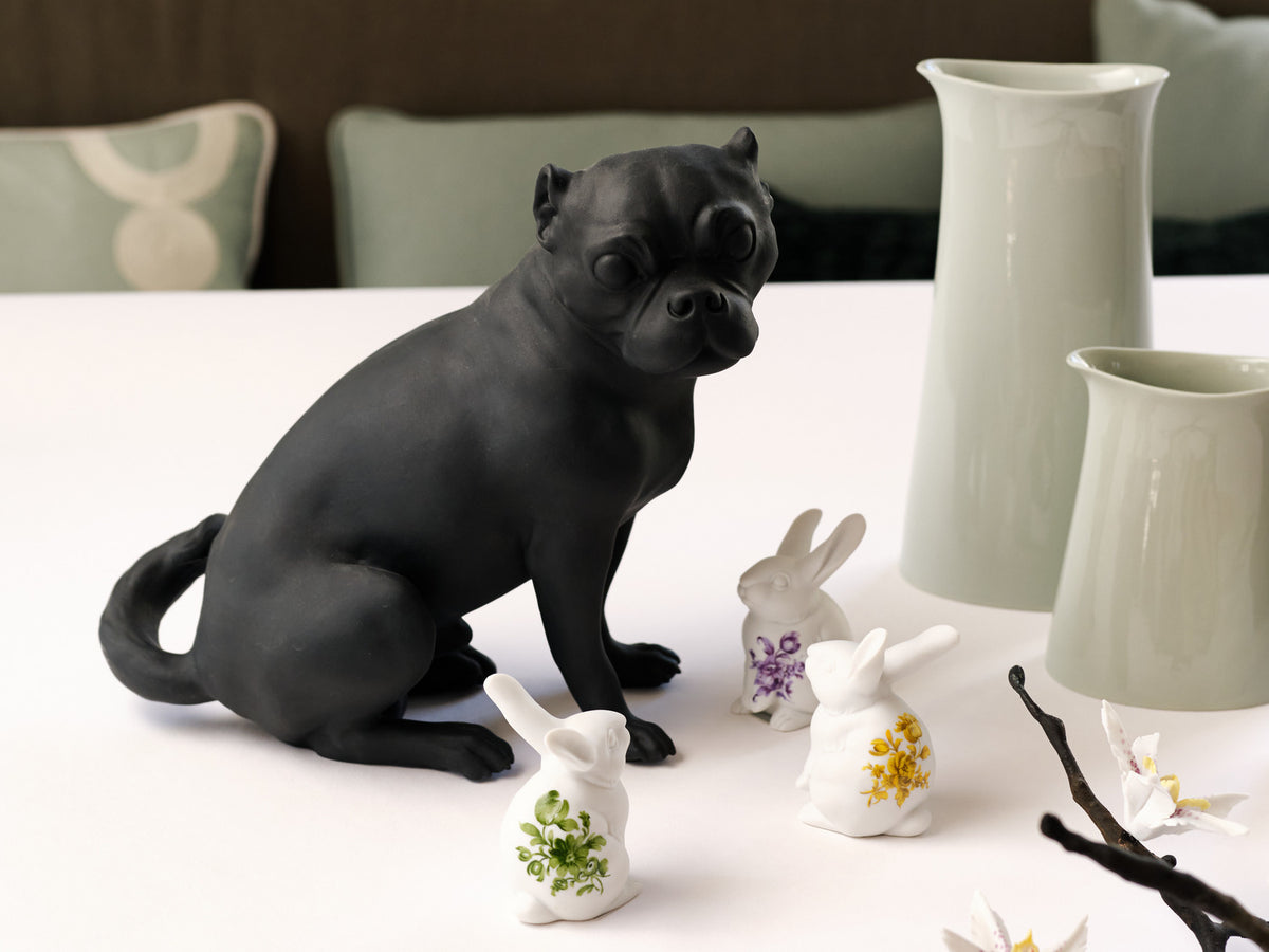 Pug