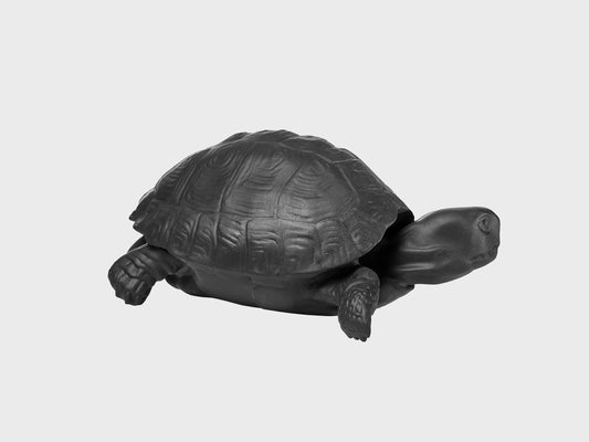 Tortoise