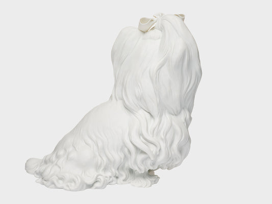 Yorkshire Terriers | 537 | white biscuit