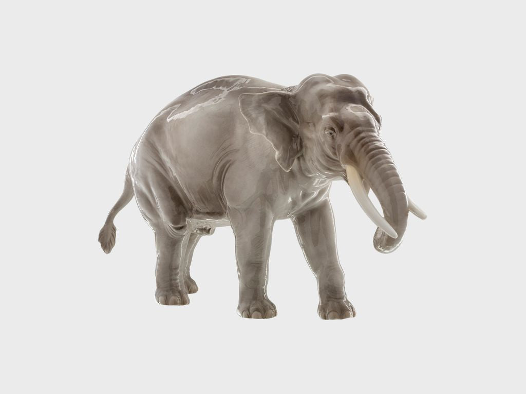 Elephant trunk down