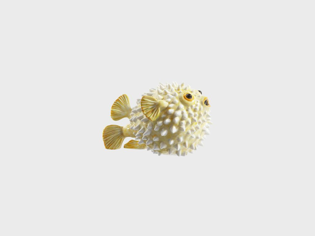 Pufferfish
