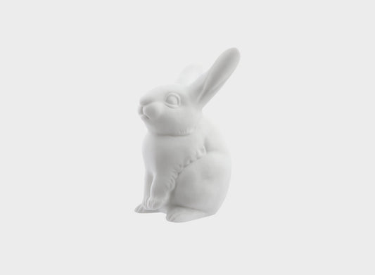 Small hare