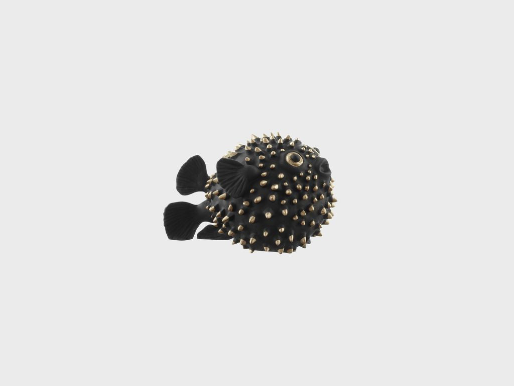 Pufferfish golden eye & golden spikes