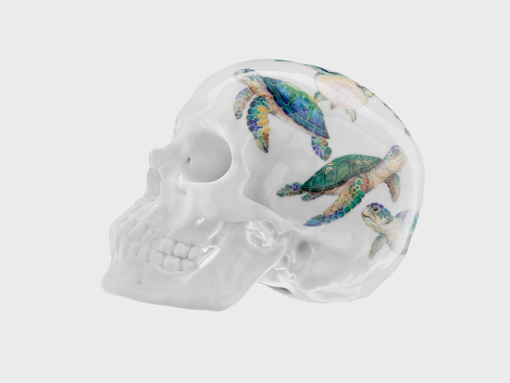 Skull Water Turtle (Limited edition 25 pcs.)