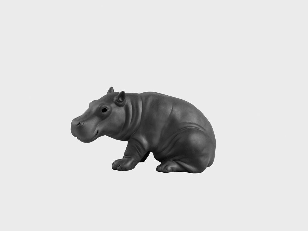 Young hippopotamus