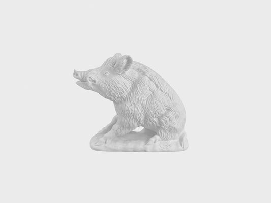 Wild boar