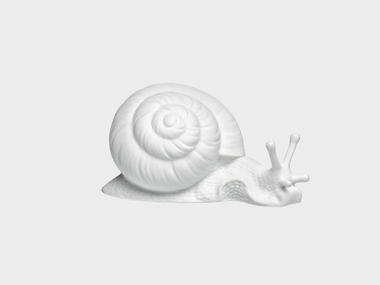 Snail