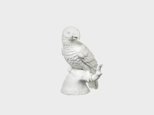 Parrot