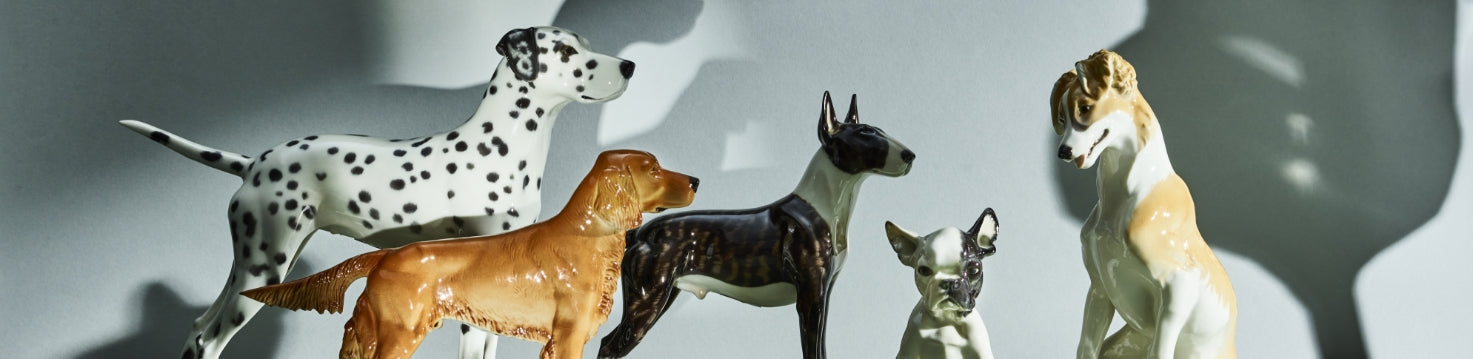 Dogs