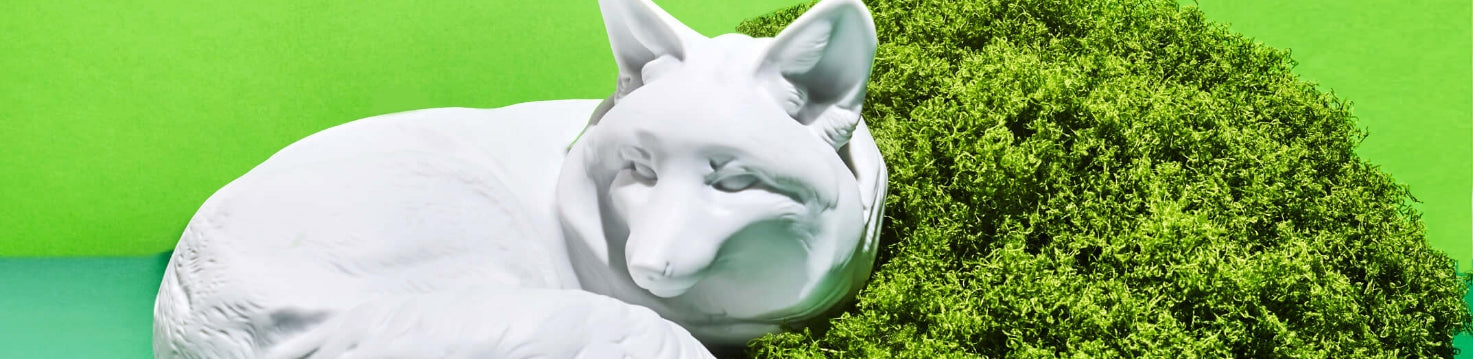 Wildlife
