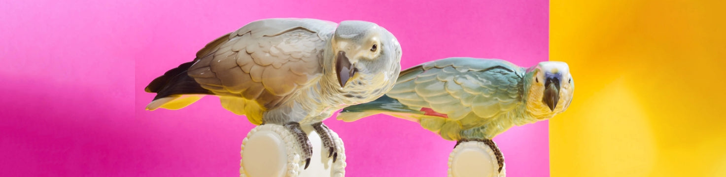 Birds