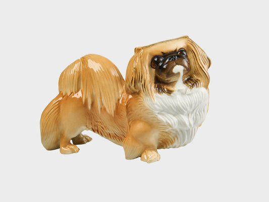 Pekinese