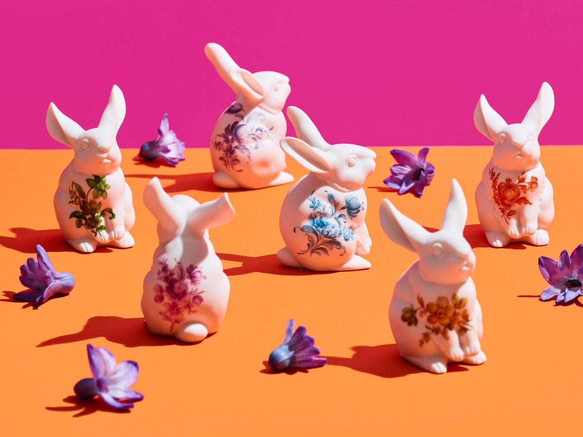 Small hare Fred