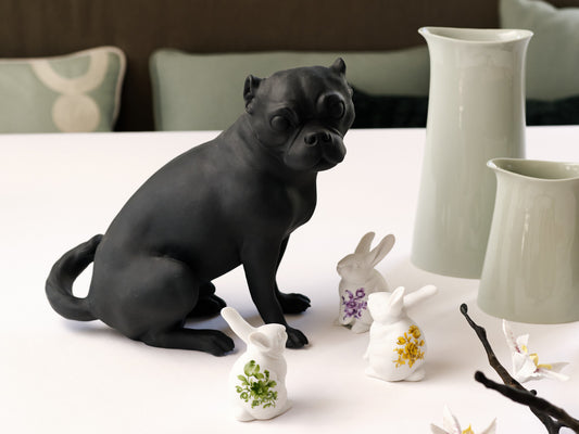 Pug