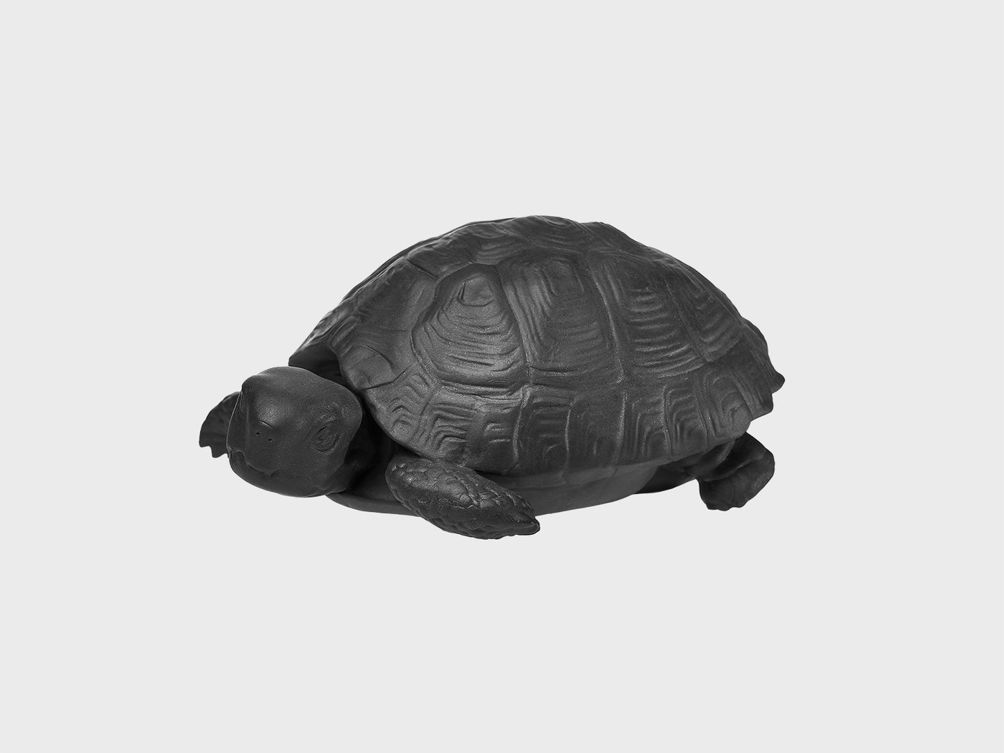 Tortoise