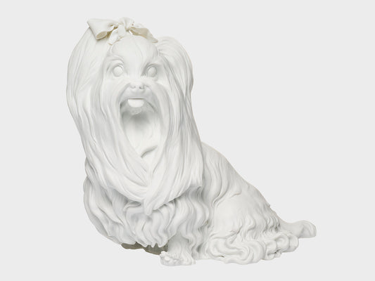 Yorkshire Terriers | 537 | white biscuit