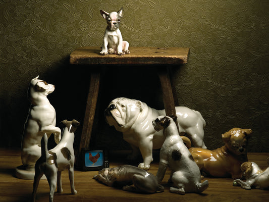 Bulldog