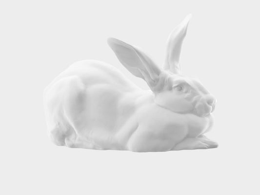 Hare