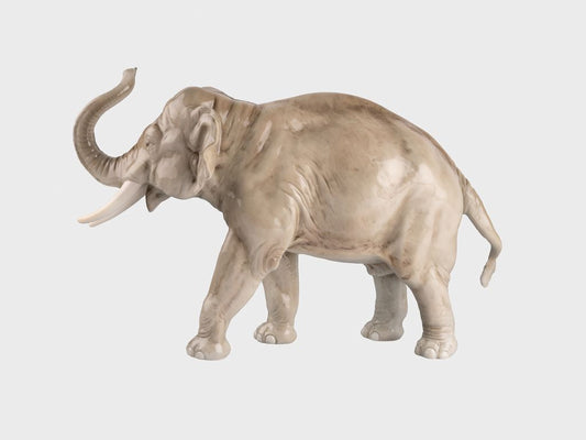 Elephant trunk up