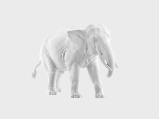 Elephant trunk down