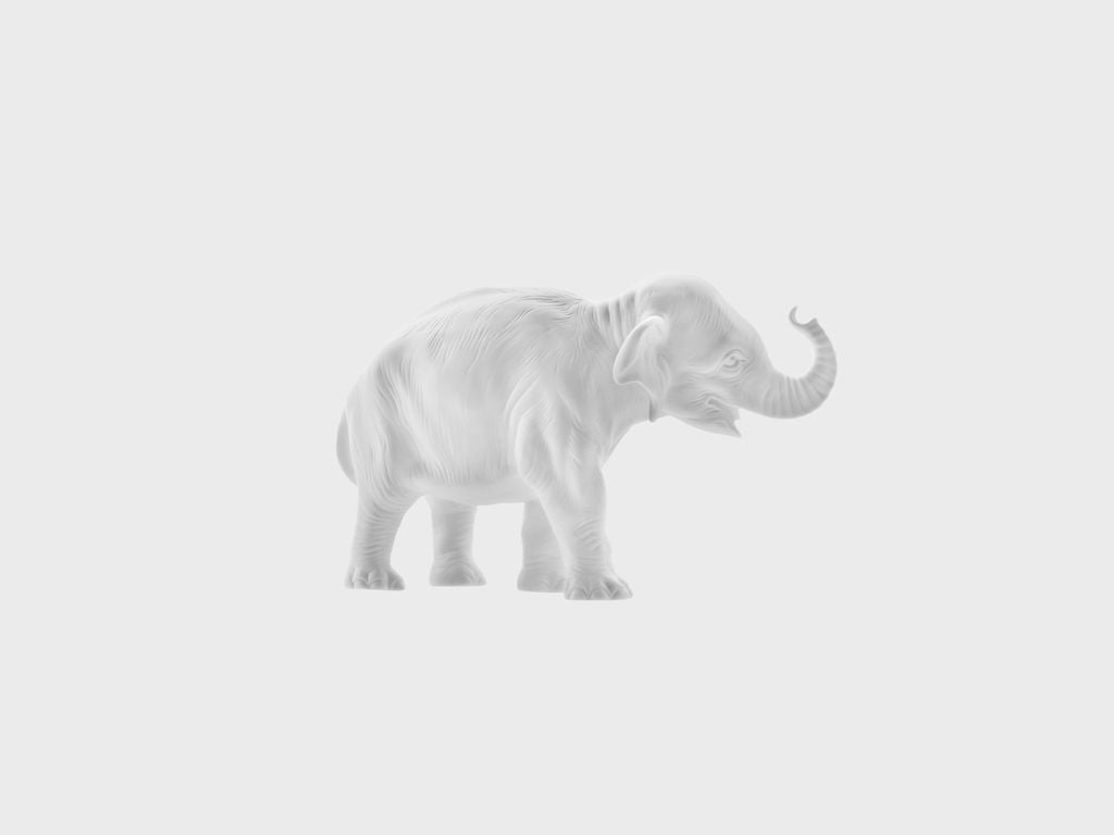 Young Elephant trunk up
