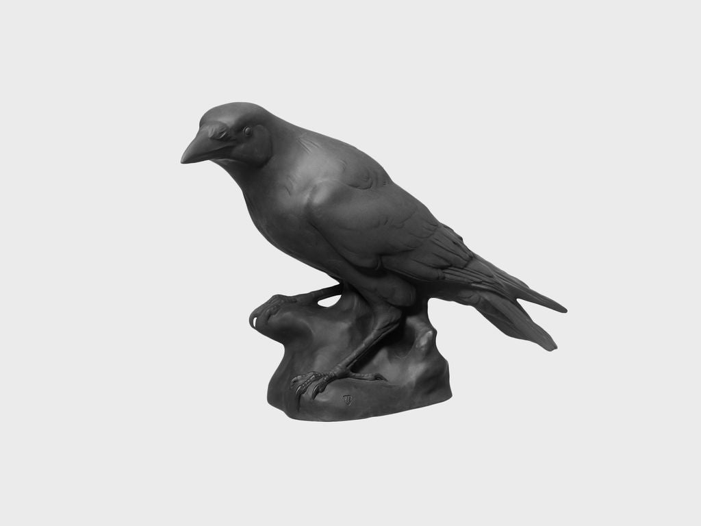 Raven
