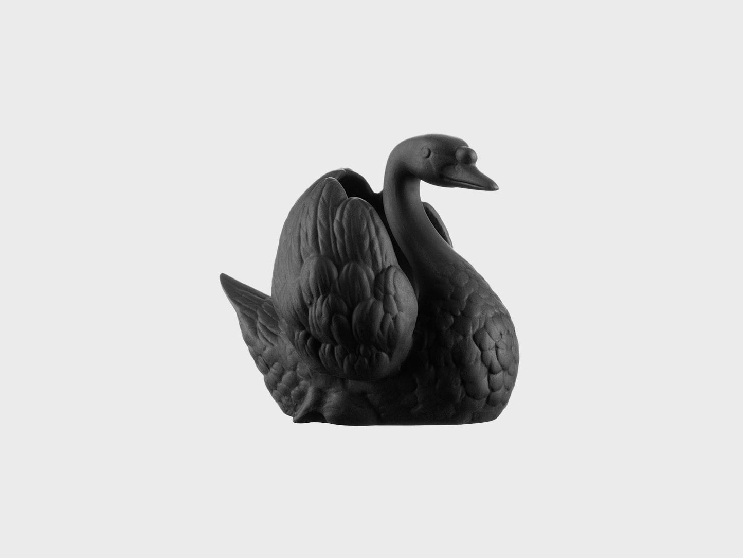 Swan