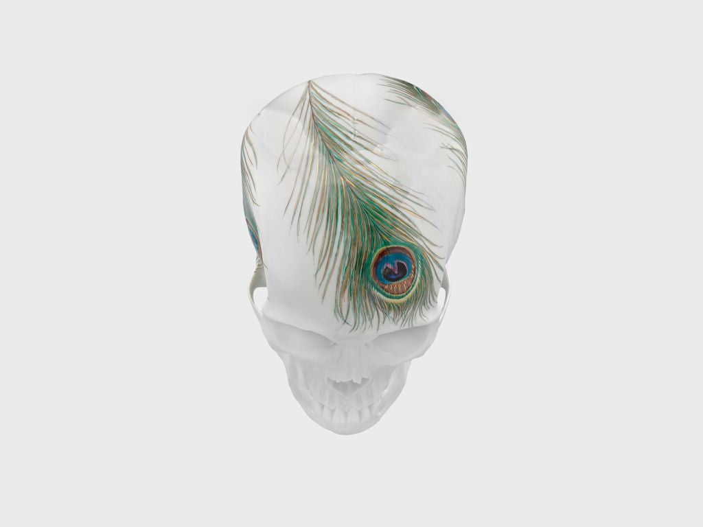 Skull Peacock feather (Limited edition 25 pcs.)