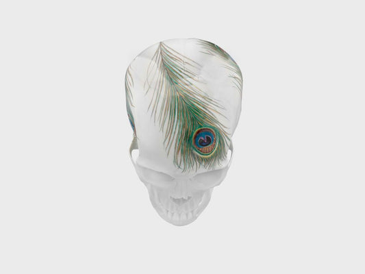Skull Peacock feather (Limited edition 25 pcs.)