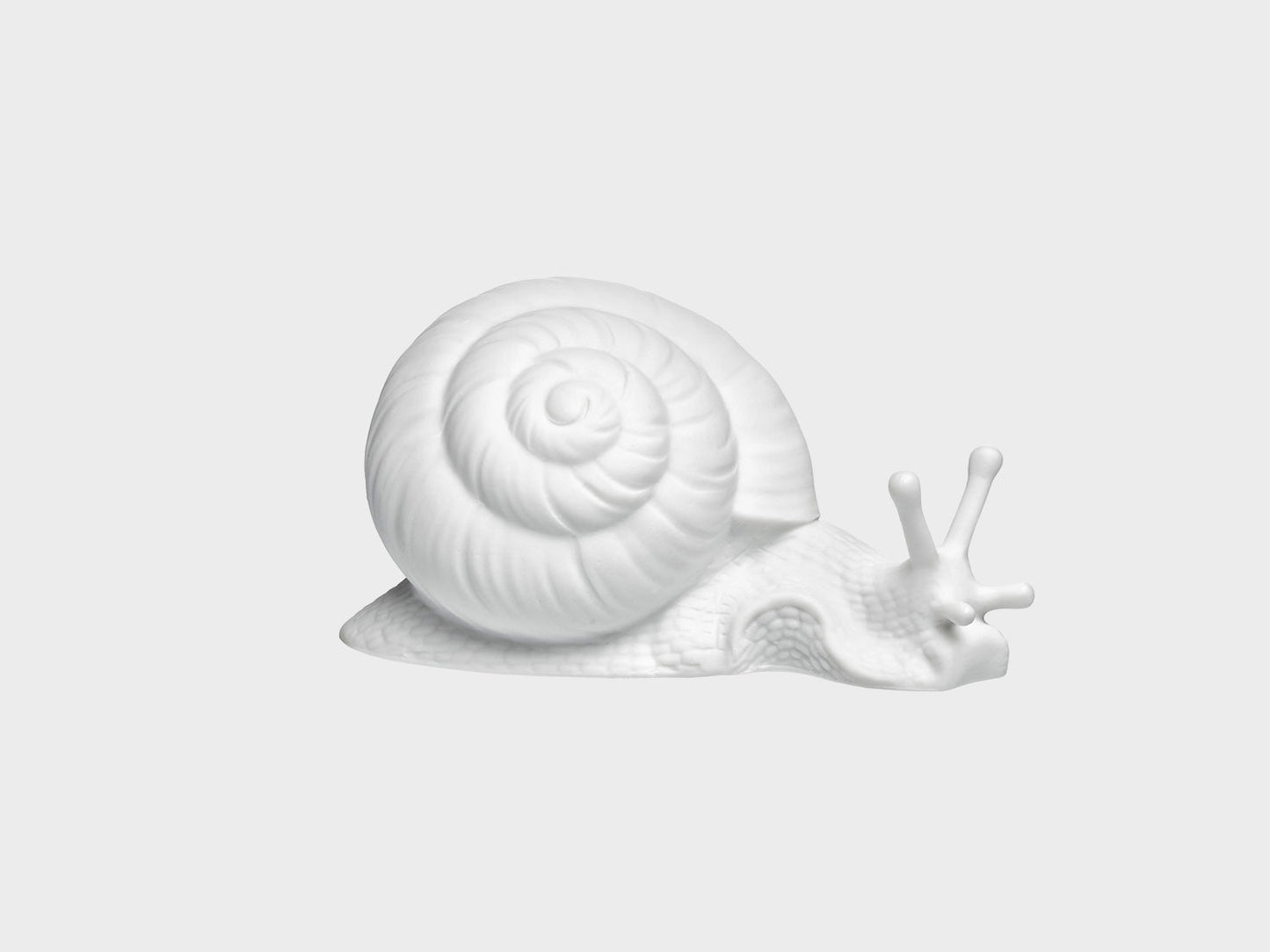 Snail